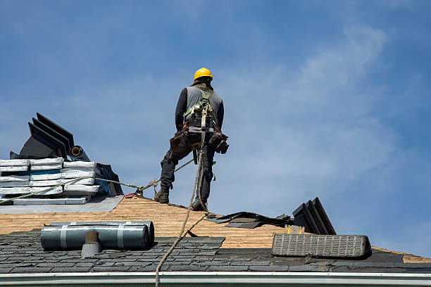 Professional Roof Repair technician working in Garland, UT